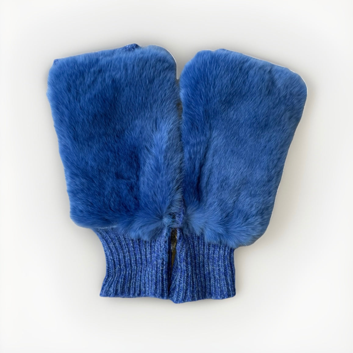 ALPO GUANTI MANICOTTI BLU ELETTRICO