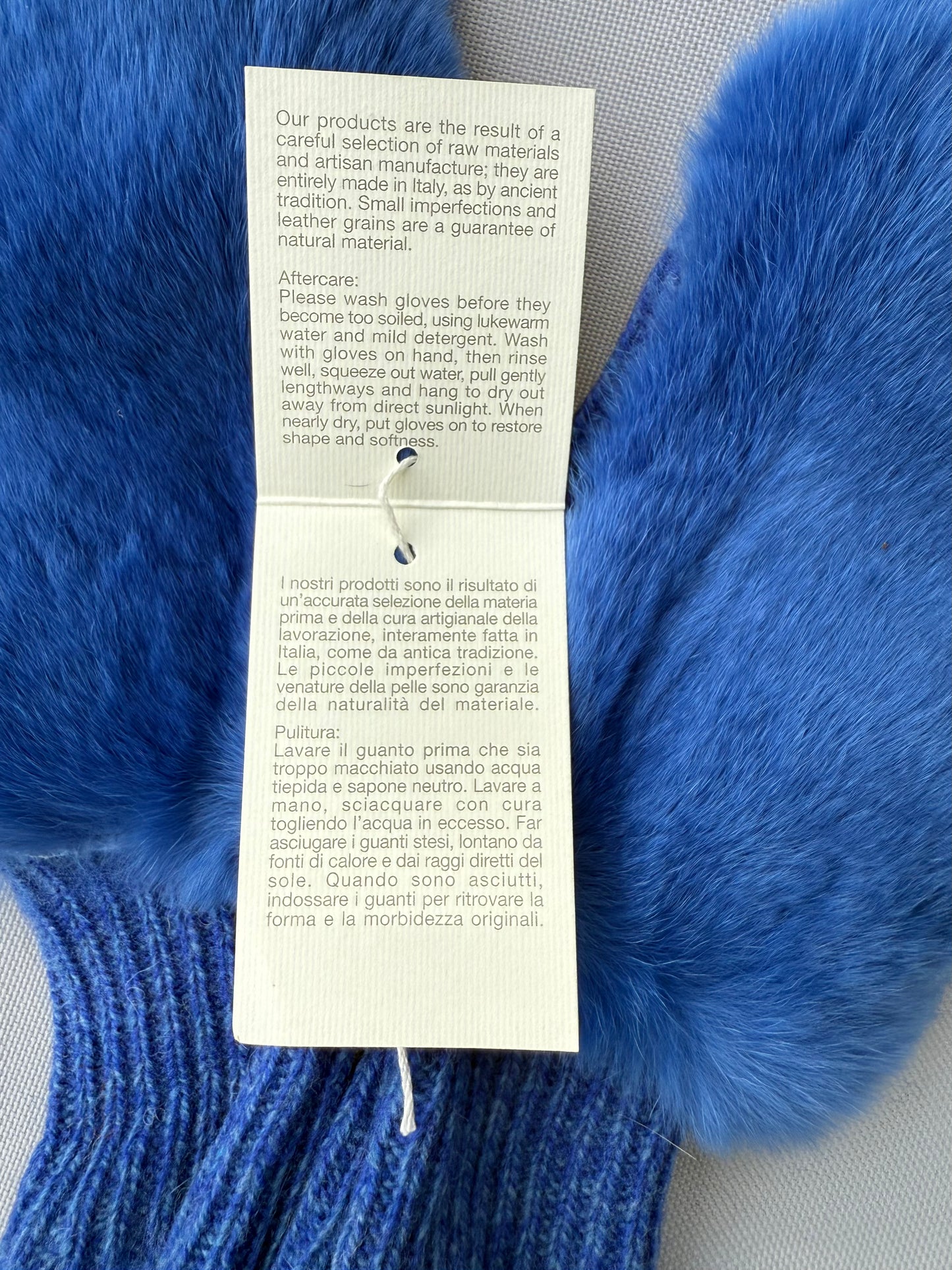 ALPO GUANTI MANICOTTI BLU ELETTRICO