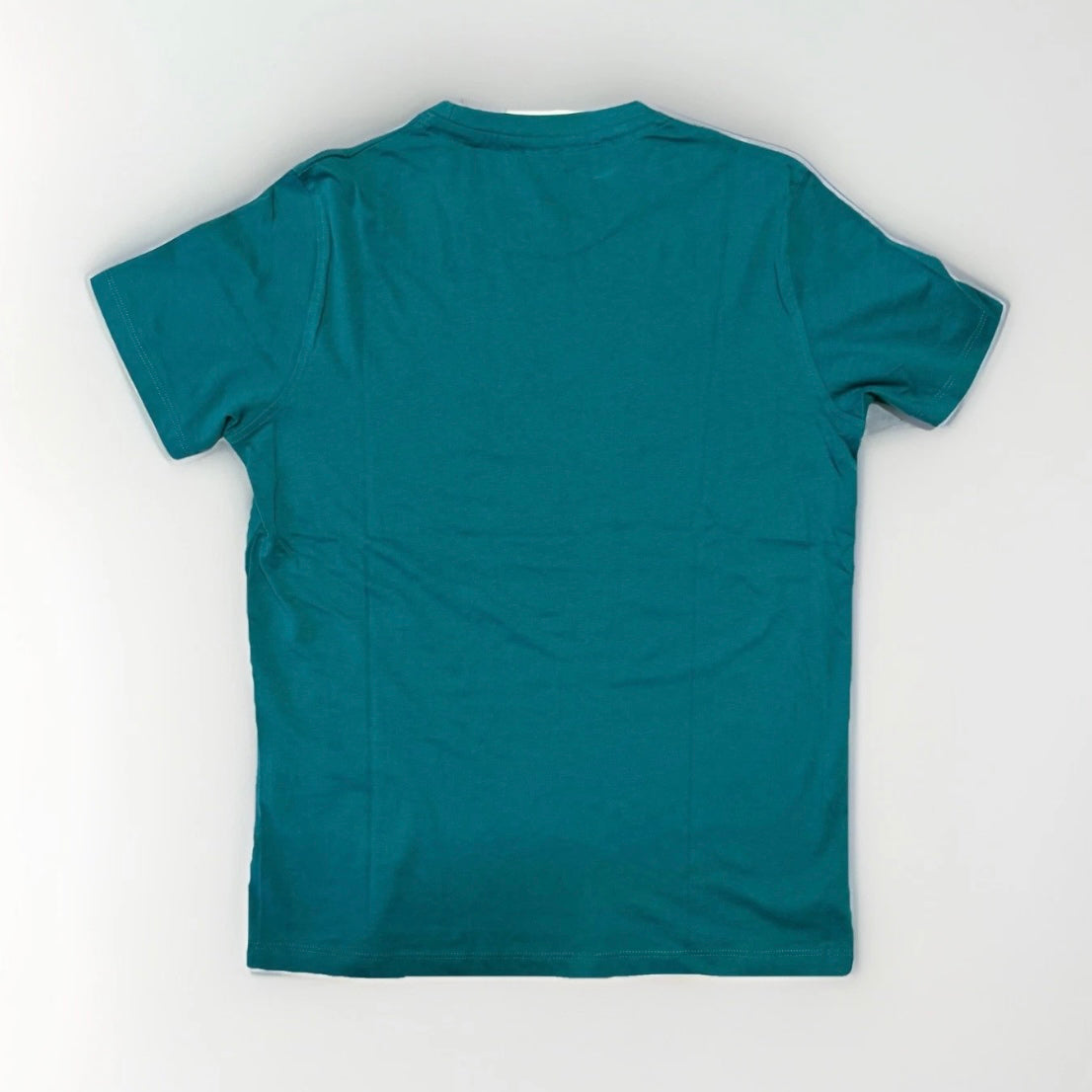 Us Polo ASSN T-SHIRT UOMO 65060 234
