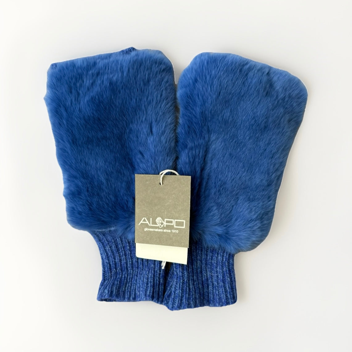 ALPO GUANTI MANICOTTI BLU ELETTRICO